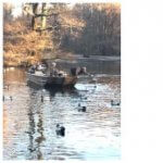 Boating Around Waterfowl at HD Guide Service