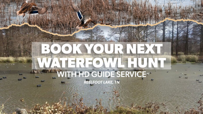 Waterfowl Tennessee Hunting Guide