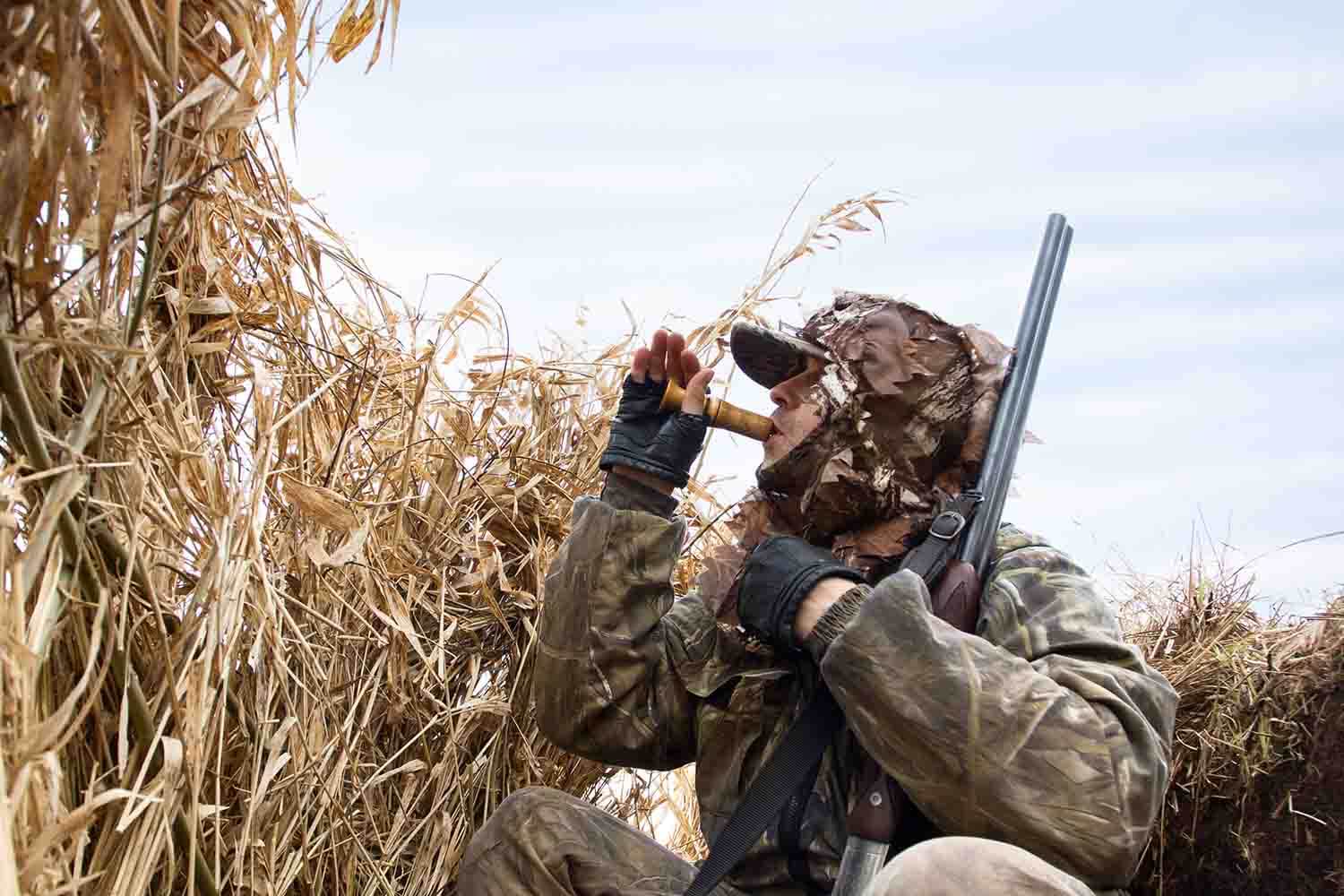 hunter sits in the shelter and lures the ducks