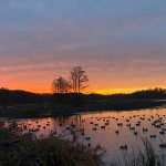 orange and blue Sunset on reelfoot lake