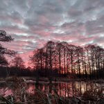 pink Sunset on reelfoot lake