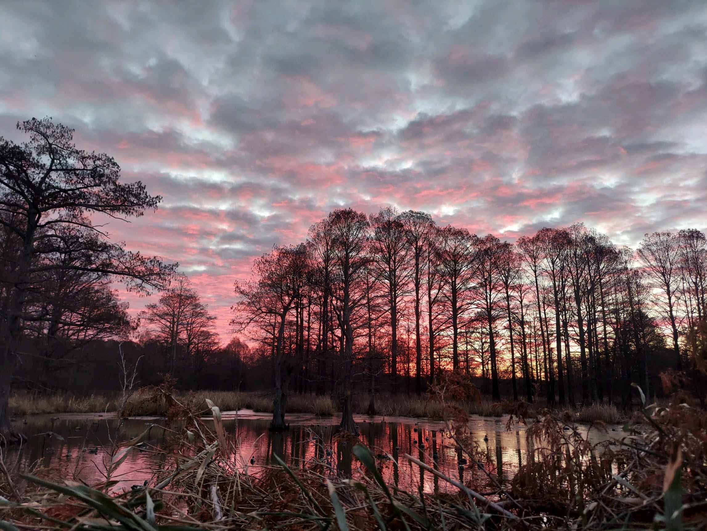 Tradition And History Of Reelfoot Lake HD Guide Service