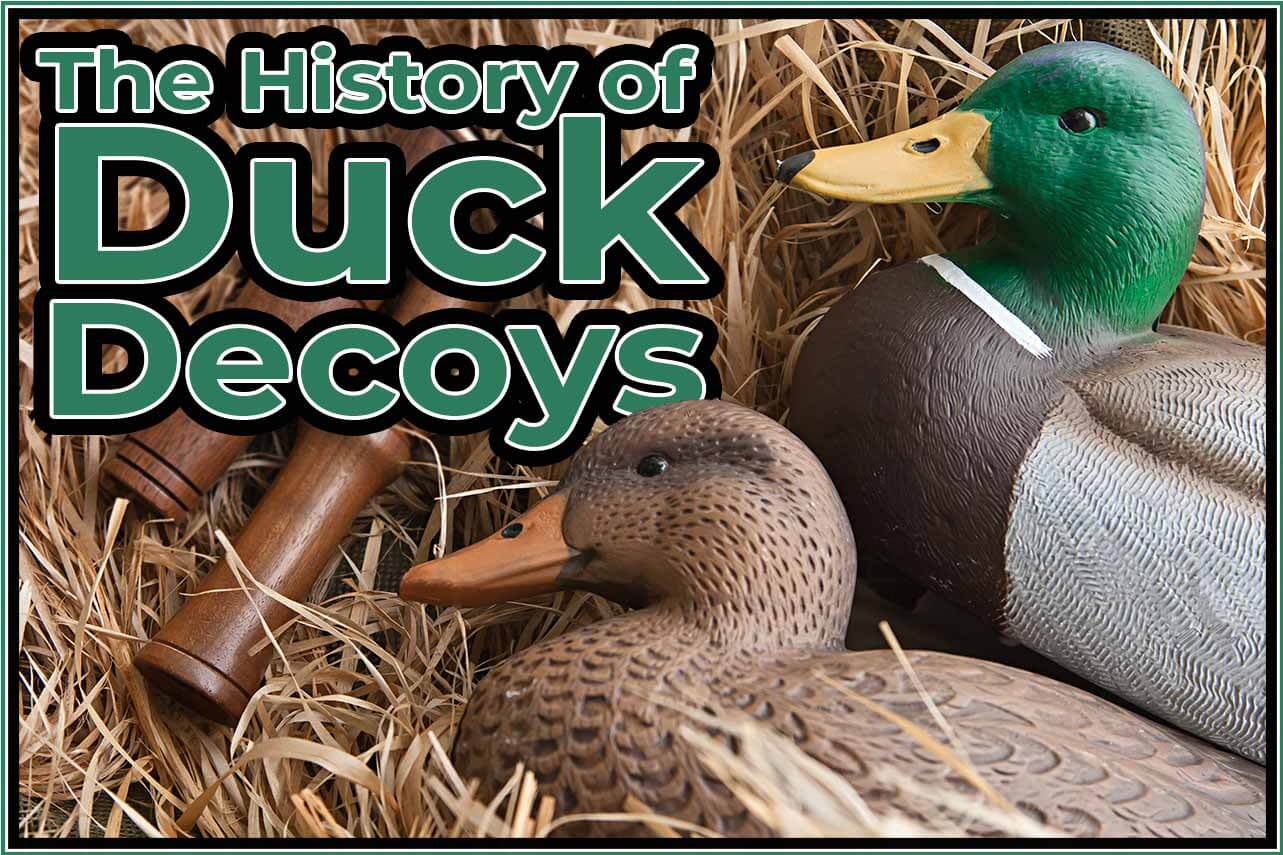 History of Duck Decoys