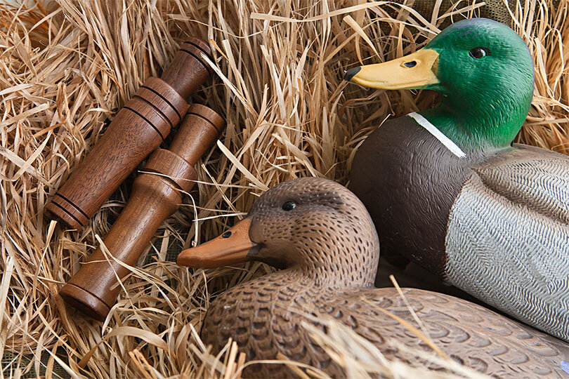 A Guided Duck Hunt: The Easy Way to Learn Hunting