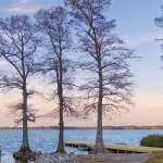 reelfoot lake